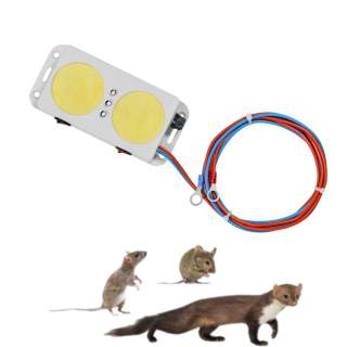 Močen ultrazvočni odganjalec kun za avto z dvema zvočnikoma 12V + 3xLED